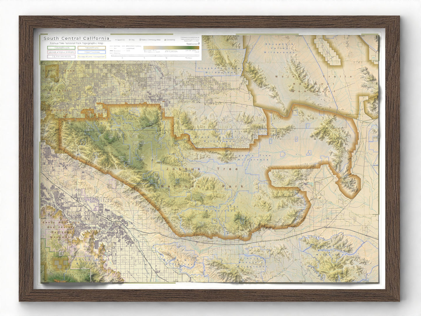 Joshua Tree National Park | Topographic Recreation Map