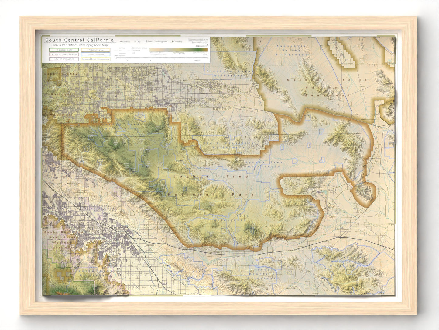 Joshua Tree National Park | Topographic Recreation Map