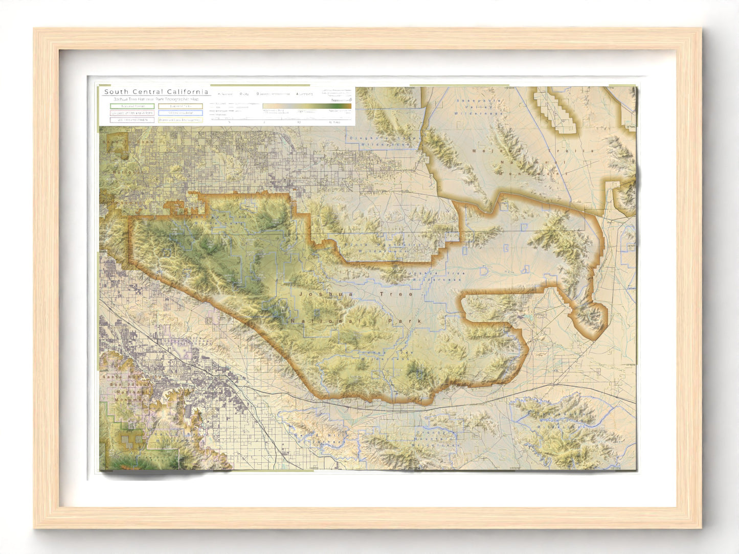 Joshua Tree National Park | Topographic Recreation Map